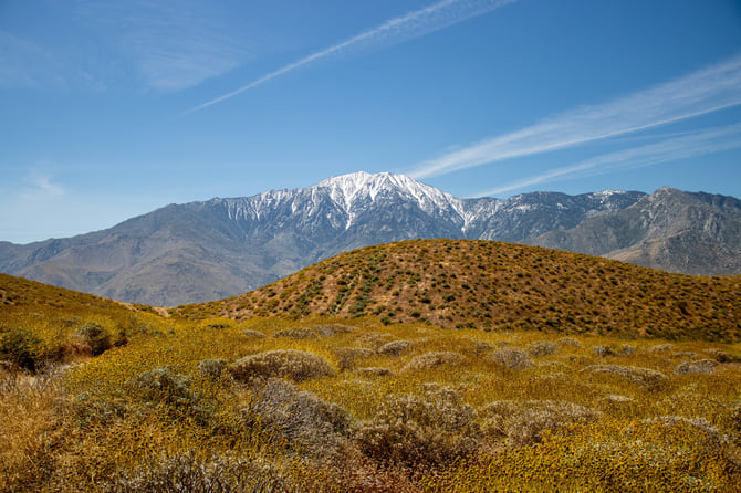 Idyllwild Peak Season vs. Off Season: What Actually Changes