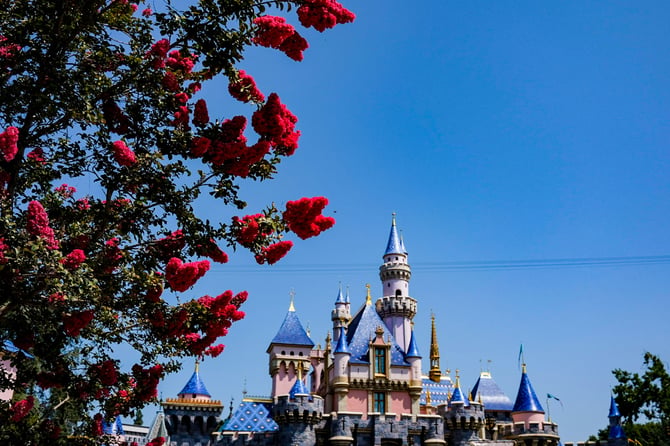 Anaheim theme parks: planning a stay around them