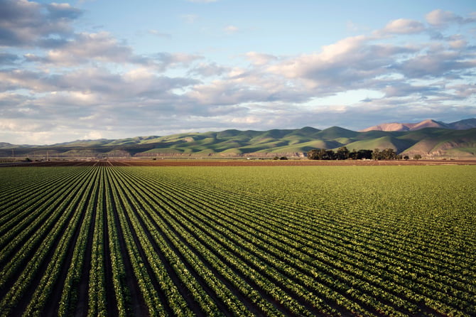 Farm Stands of the Salinas and Pajaro Valleys