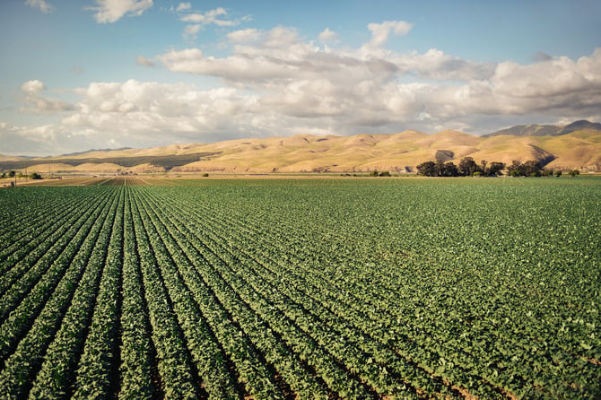 Farm Stands of the Salinas and Pajaro Valleys