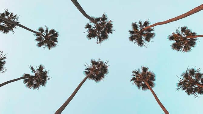 Palm Springs Celebrity Tours