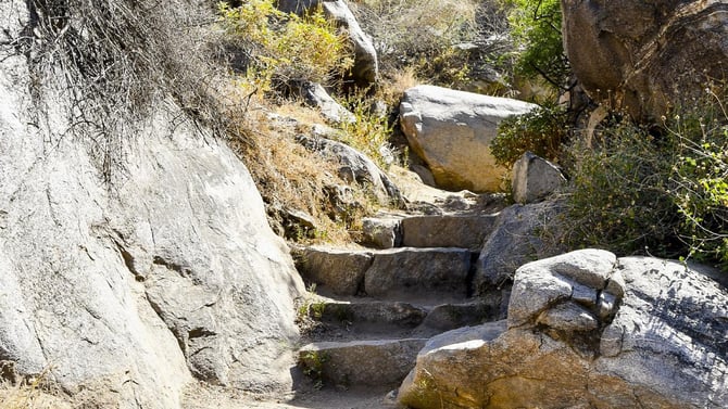National Parks Near Palm Springs