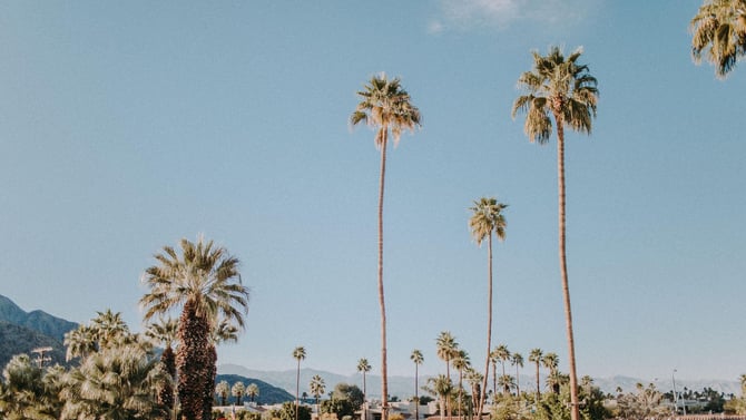 Palm Springs Mod Squad Tour