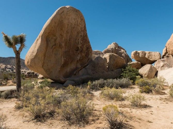Twentynine Palms