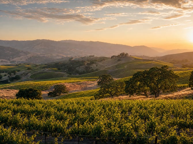 Paso Robles