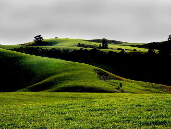 When to Visit the Central Coast