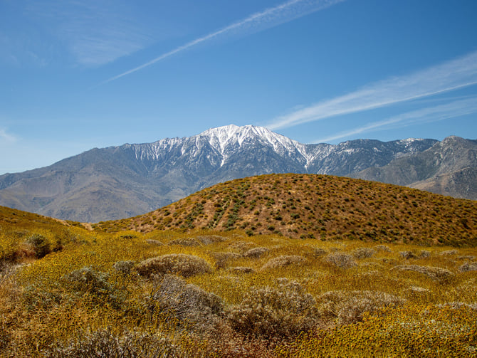 Palm Springs Aerial Tramway