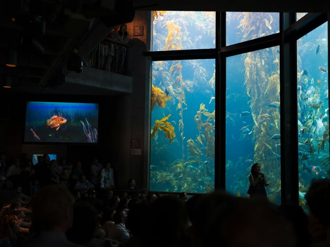 Monterey Bay Aquarium