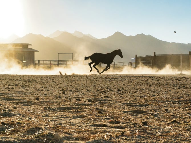 Empire Polo Club Season